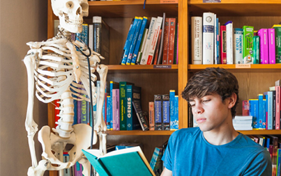Anatomy TEAS Exam Help